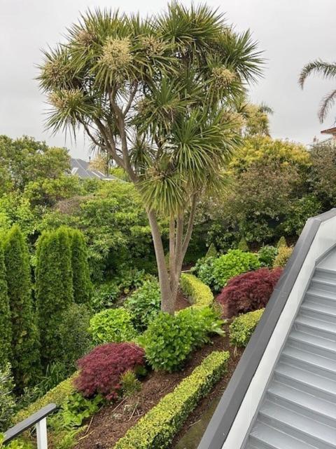 Luxury Villa On Napier Hill Exterior foto
